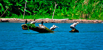 Liberia Ground Transportation